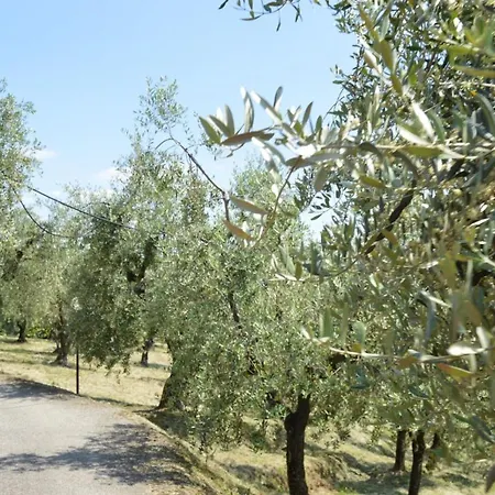 Il Podere Di Tacito Oda ve Kahvaltı Montecatini Terme