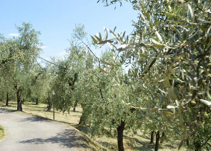 Il Podere Di Tacito Oda ve Kahvaltı Montecatini Terme